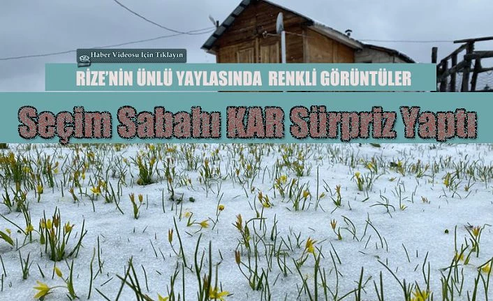 Kar yağışına hazırlıksız yakalandılar