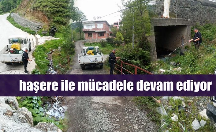 MÜCADELE DEVAM EDİYOR