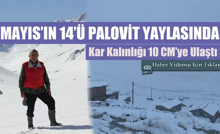 Palovit Yaylasında Kar Kalınlığı 10 CM