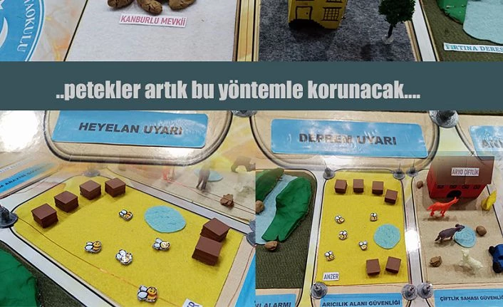 Petekler ayılardan lazerle korunacak