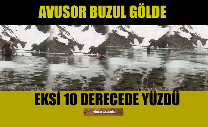 Avusor Buzul Gölde Yüzdü