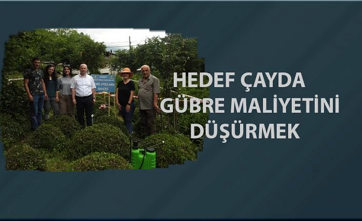 Çayda gübre maliyetini düşürmeyi hedefliyorlar