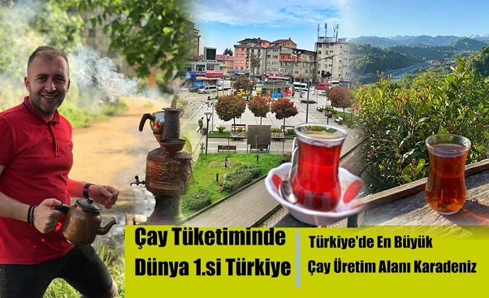 Dünyada en çok çay tüketen ülke Türkiye ilk sırada yer aldı