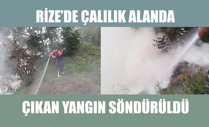 Çalılık alanda yangın çıktı