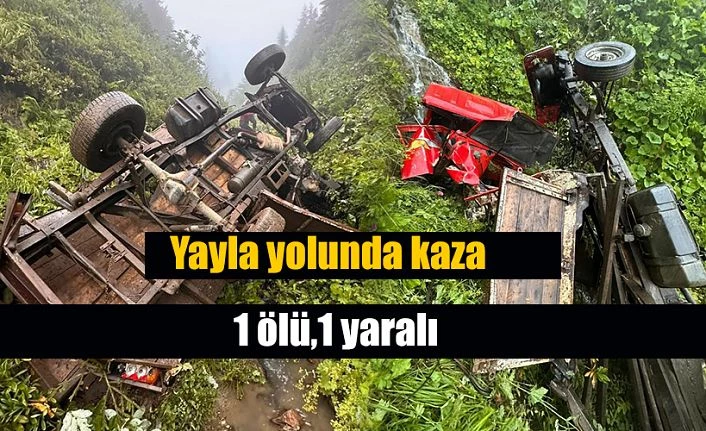 Yayla yolunda uçuruma yuvarlandı:1 ölü 1 yaralı