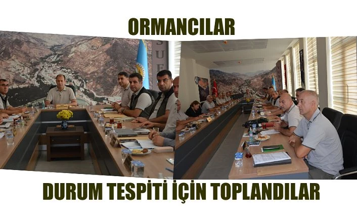 ORMANCILAR TOPLANDI