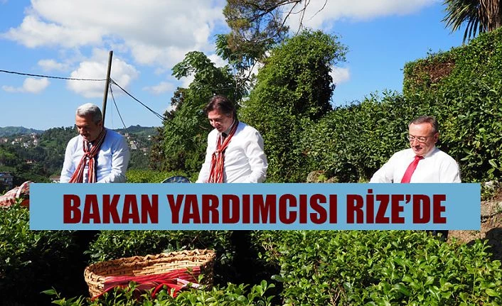 Bakan Yardımcısı Rize