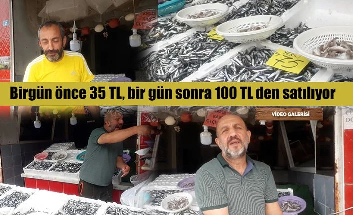 Balık Piyasası BORSA gibi