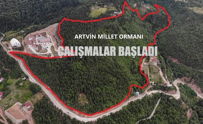 MİLLET ORMANI KURMA ÇALIŞMALARI BAŞLADI