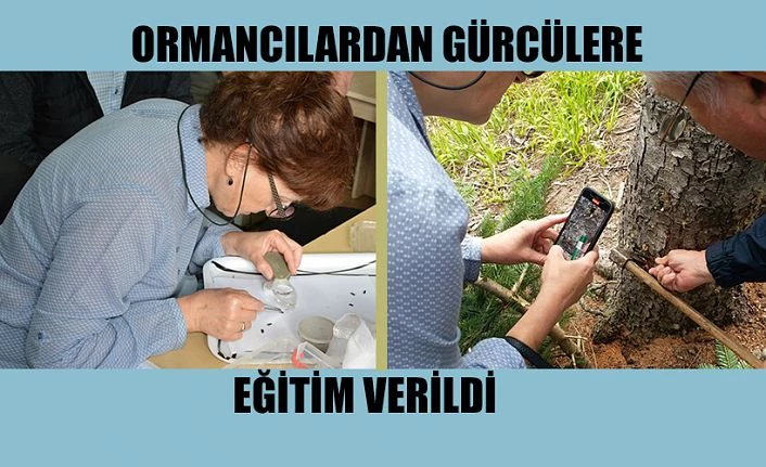 ORMANCILARDAN GÜRCÜLERE EĞİTİM