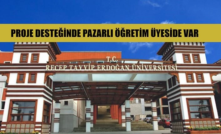 Recep Tayyip Erdoğan Üniversitesi Öğretim Üyelerine Proje Desteği