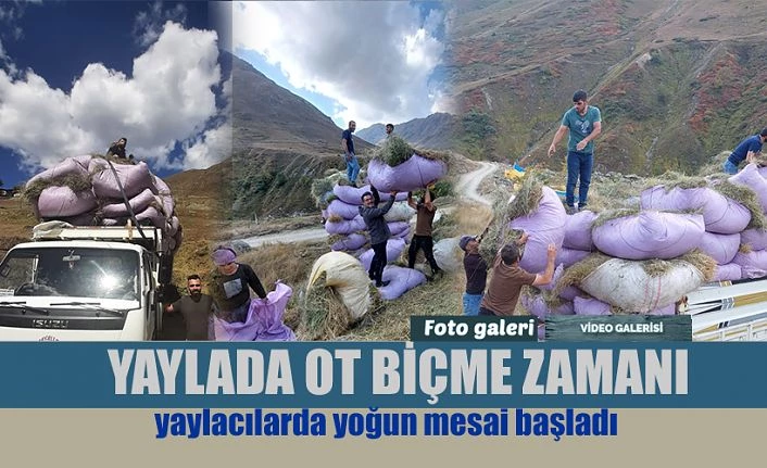 Yaylacılarda zorlu mesai başladı