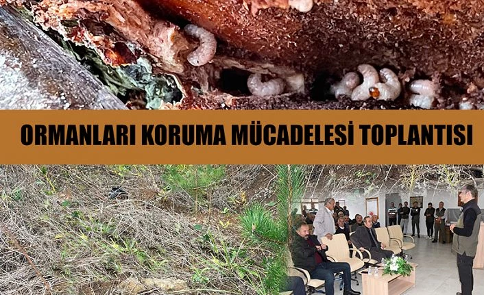 ORMANLARINI KORUMA MÜCADELESİ TOPLANTISI
