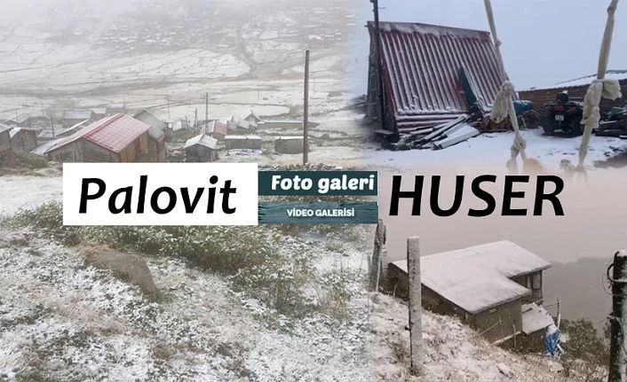 Palovit ve Huser