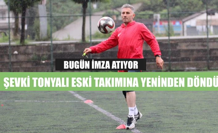 Pazarlı Tonyalı