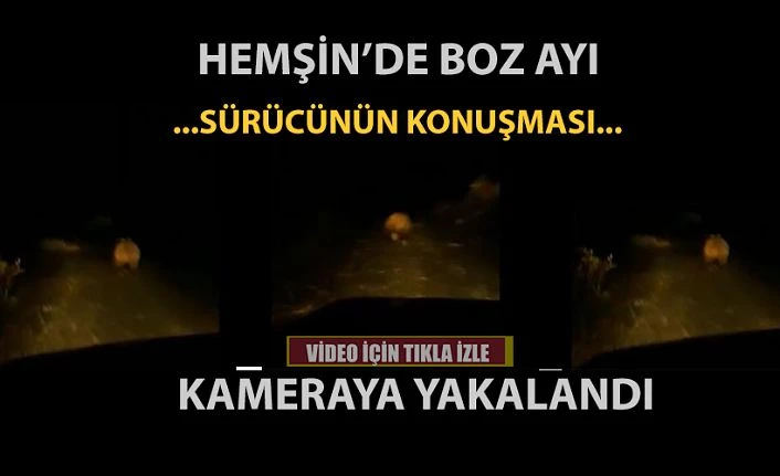 Boz ayı yoluna çıkınca ona nelere dedi