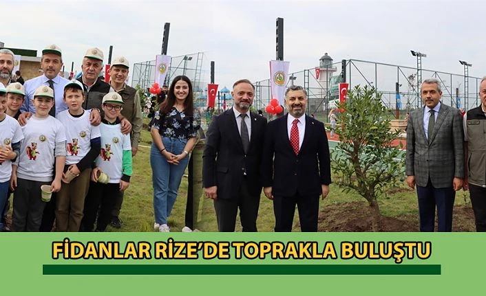 Fidanlar Rize