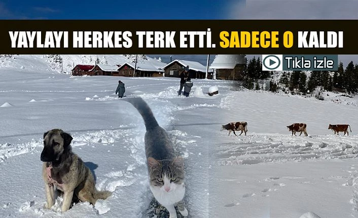 Herkes terk etti. Sadece O kaldı. Nedeni de ilginç