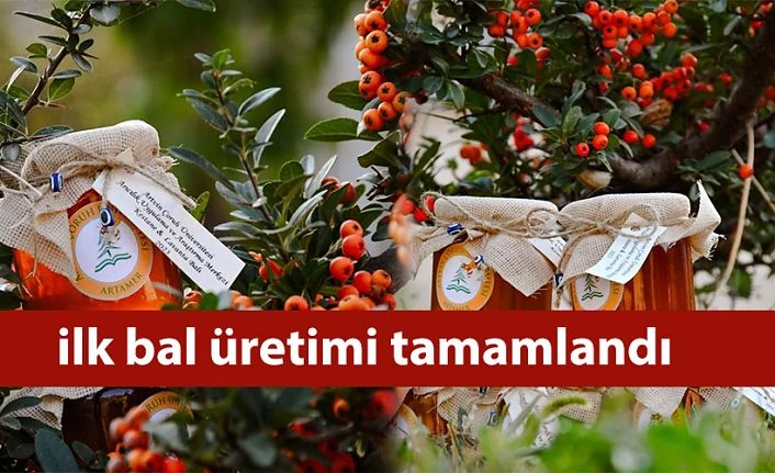 İLK BAL ÜRETİMİ TAMAMLANDI