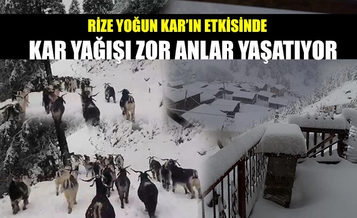 Rize’de Kar kalınlığı 20 cm’yi geçti