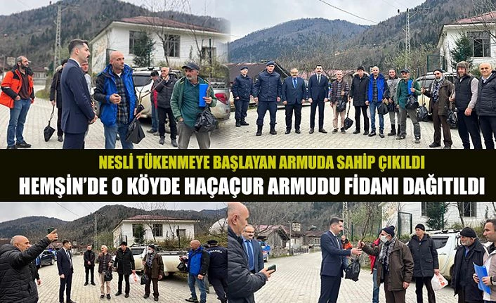 Kaymakamlıktan HAÇAÇUR armut fidanı dağıtımı yapıldı